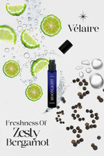 Load image into Gallery viewer, Moonlight - 15ML