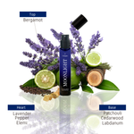 Load image into Gallery viewer, Moonlight - 15ML