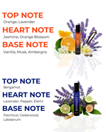 Load image into Gallery viewer, Travel Combo