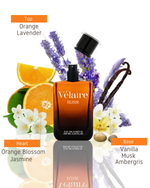 Load image into Gallery viewer, Elixir