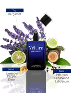 Load image into Gallery viewer, Moonlight