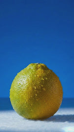 Load and play video in Gallery viewer, Moonlight